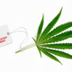 Illustration for article titled How Research Scientists Get Free Illegal Drugs from the Government